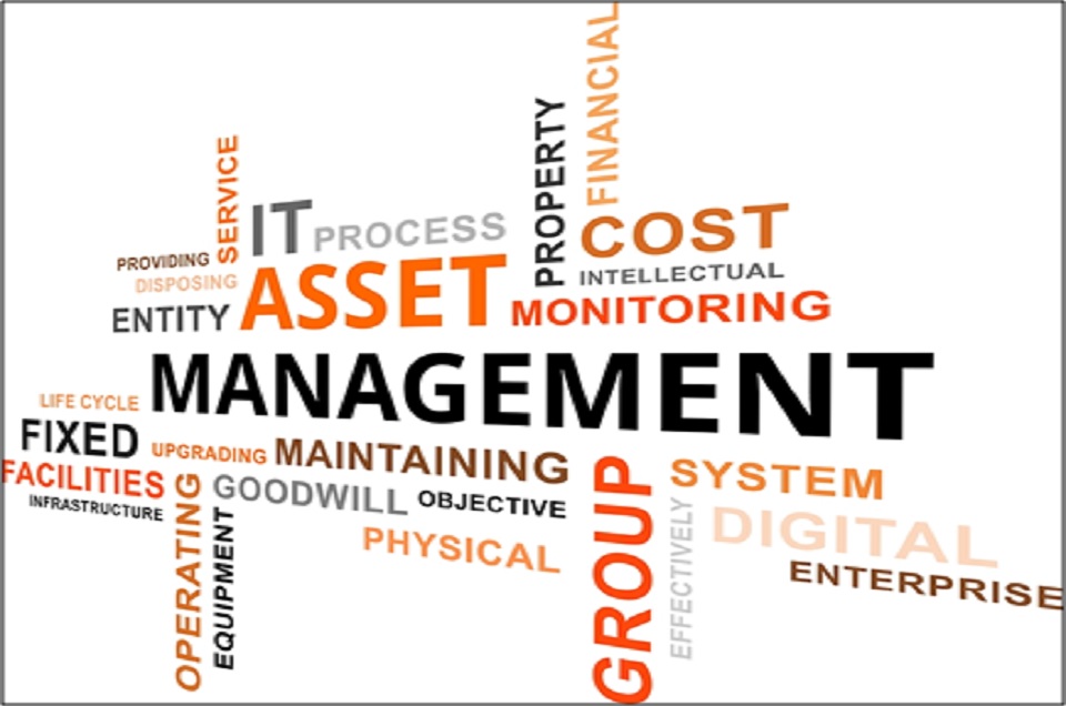 How Asset Management Software helps in Small Business